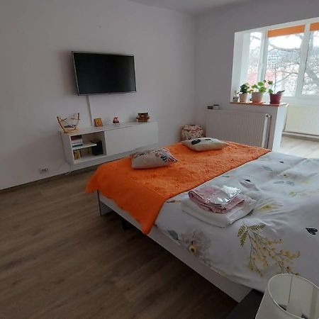 Apartament Spatios In Брашов Екстер'єр фото