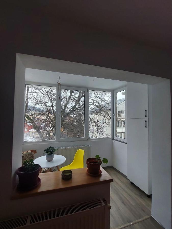 Apartament Spatios In Брашов Екстер'єр фото