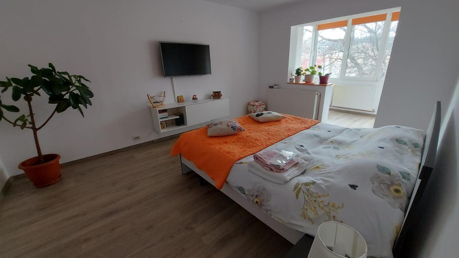 Apartament Spatios In Брашов Екстер'єр фото
