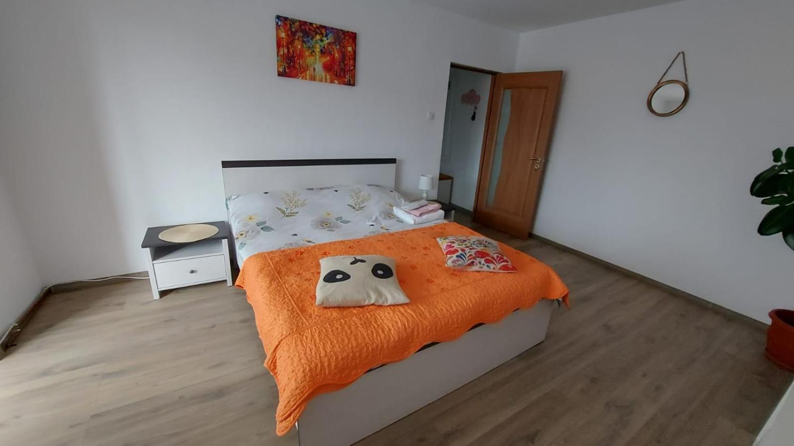 Apartament Spatios In Брашов Екстер'єр фото